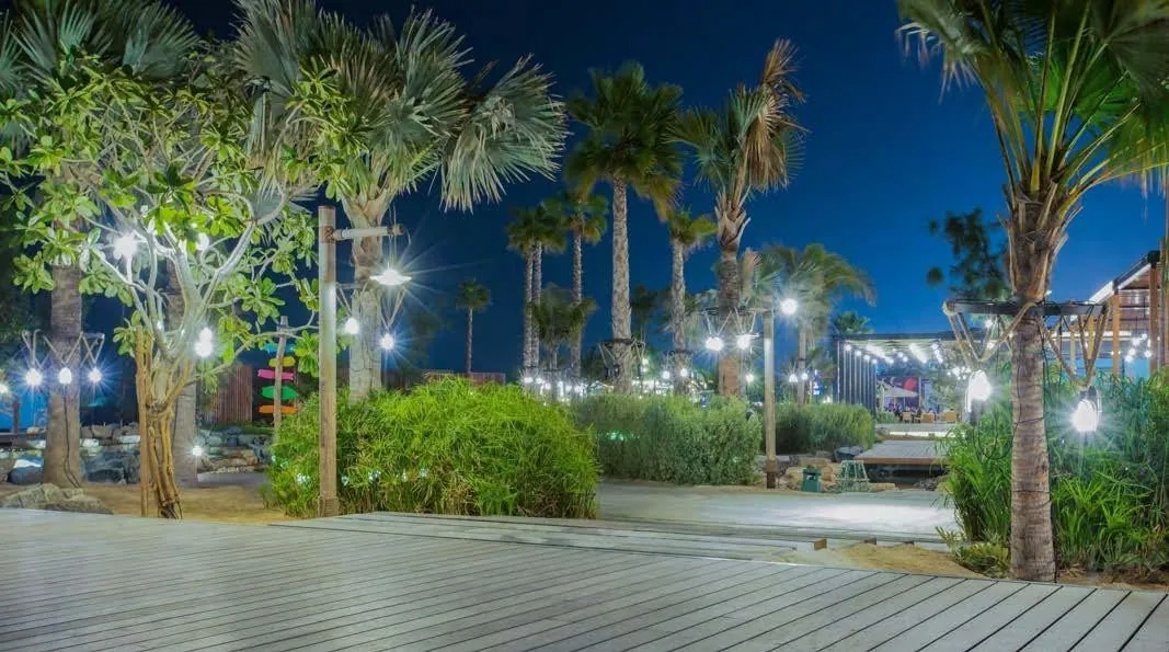 An illuminated boardwalk lined with palms